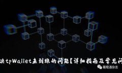 如何解决tpWallet未到账的问题？详细指南及常见问