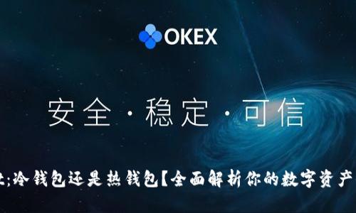 TPWallet：冷钱包还是热钱包？全面解析你的数字资产保管选择