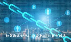如何通过tpWallet获取BNB：详细指南