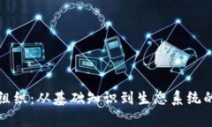 加密货币组织：从基础知识到生态系统的全面解