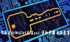 如何通过tpWallet充值gas：详细步骤与注意事项