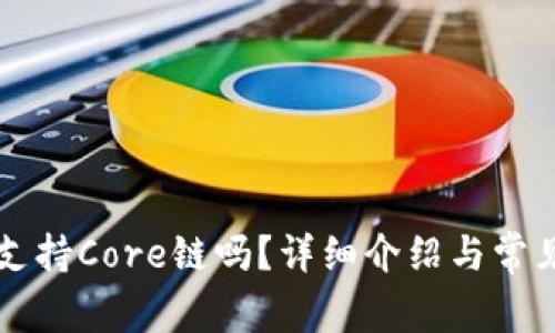 tpWallet支持Core链吗？详细介绍与常见问题解答