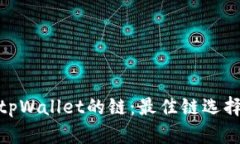 选择适合tpWallet的链：最佳链选择及其优势