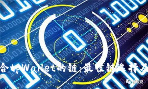 选择适合tpWallet的链：最佳链选择及其优势