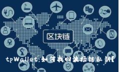 tpWallet：如何找回波场链私钥？