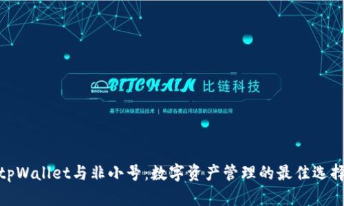 tpWallet与非小号：数字资产管理的最佳选择