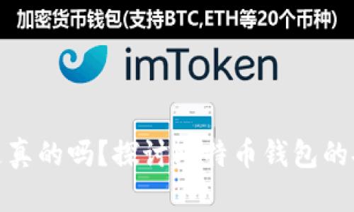 今天比特币钱包是真的吗？探讨比特币钱包的安全性与选择策略