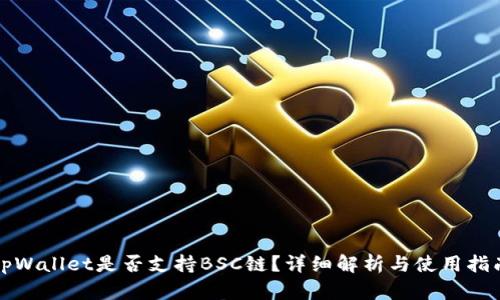tpWallet是否支持BSC链？详细解析与使用指南