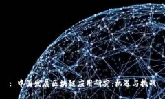 : 中国发展区块链应用研究：机遇与挑战