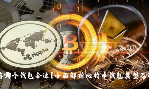 比特币存哪个钱包合适？全面解析比特币钱包类型及选择指南
