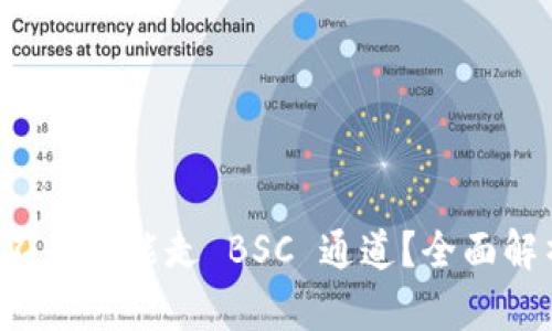 tpWallet 是不是只能走 BSC 通道？全面解析与功能详解