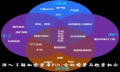 深入了解加密货币FlK：它