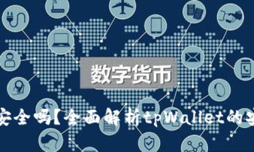 tpWallet国际版安全吗？全面解析tpWallet的安全性与使用体验