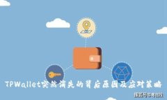 TPWallet突然消失的背后原因