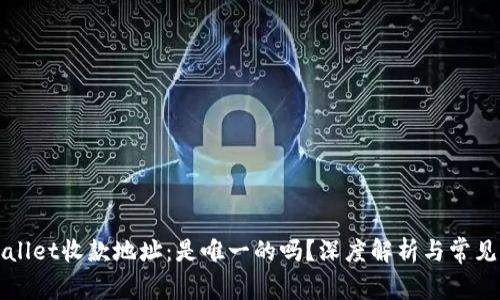TPWallet收款地址：是唯一的吗？深度解析与常见误区