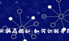 加密货币创业骗局揭秘：