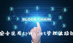 如何安全使用tpWallet管理波