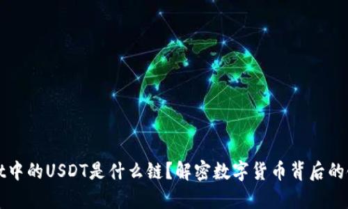 tpWallet中的USDT是什么链？解密数字货币背后的链上秘密