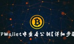 如何在TPWallet中查看公钥？