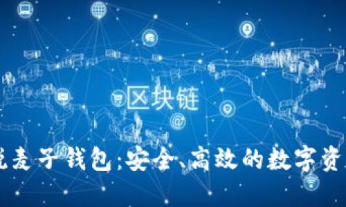 区块链新锐麦子钱包：安全、高效的数字资产管理平台