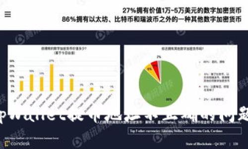 如何解决tpWallet提币地址不正确的问题：完整指南