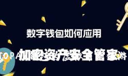 如何利用TOPAY钱包为虚拟币充值游戏：全攻略