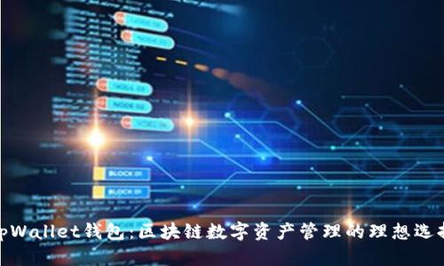 tpWallet钱包：区块链数字资产管理的理想选择