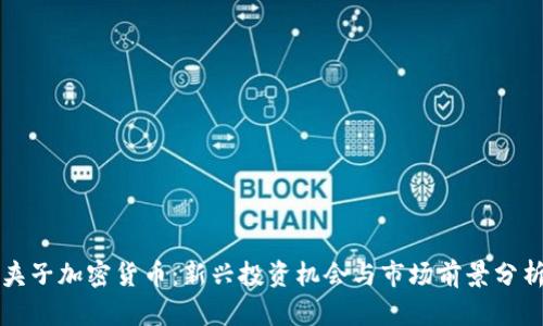 夹子加密货币：新兴投资机会与市场前景分析