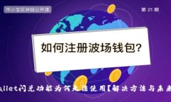 TPWallet闪兑功能为何无法使用？解决方法与未来展