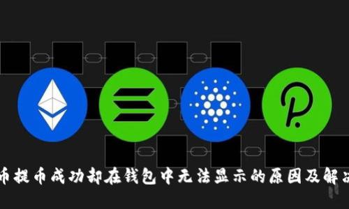 比特币提币成功却在钱包中无法显示的原因及解决方案