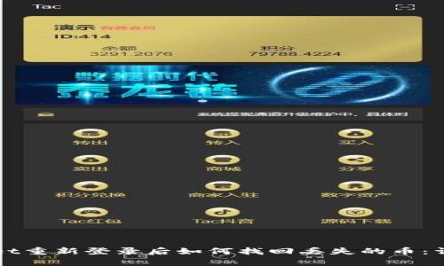 tpWallet重新登录后如何找回丢失的币：详细指南