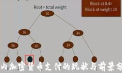 国内加密货币支付的现状