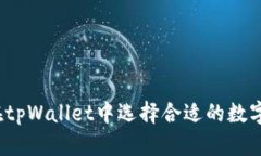 如何在tpWallet中选择合适的