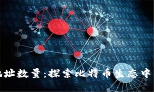 比特币钱包地址数量：探索比特币生态中的数据与趋势