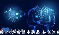 深入解析TCB加密货币骗局