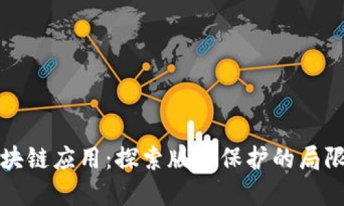 版权不属于区块链应用：探索版权保护的局限性及解决方案