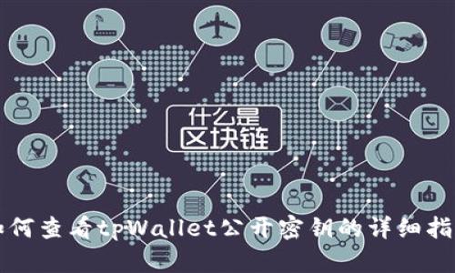 如何查看tpWallet公开密钥的详细指南