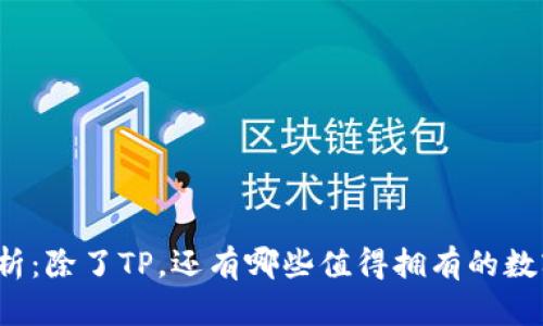 全面解析：除了TP，还有哪些值得拥有的数字资产？